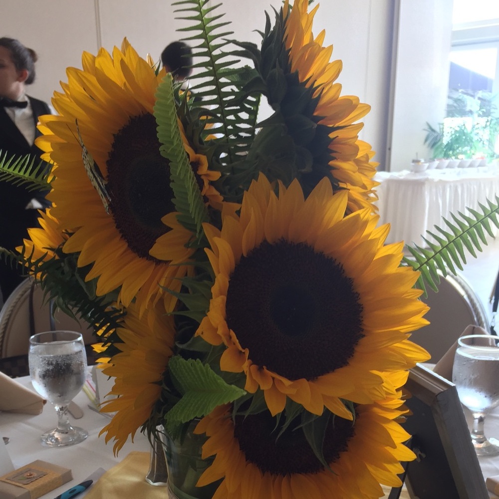 Meet your Posher, Brynn